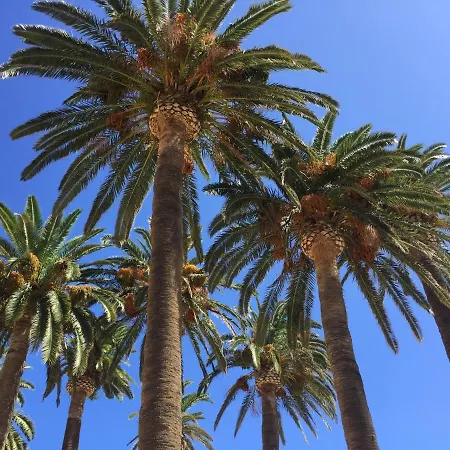 Villa Grand Confort à 500m De La De Lozari Palasca (Corsica)