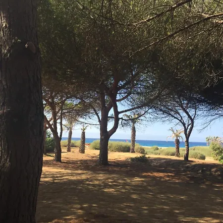 Villa Grand Confort à 500m De La De Lozari