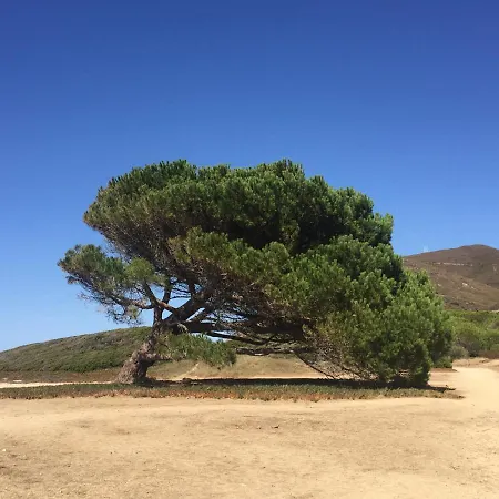 빌라 Grand Confort A 500m De La De Lozari Palasca (Corsica)