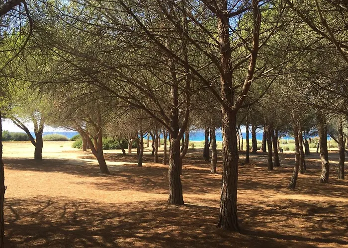 Grand Confort A 500m De La De Lozari *