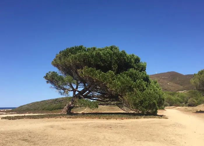 Vila Grand Confort A 500m De La De Lozari Palasca (Corsica)